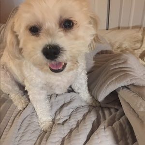 Meet your Posher, Elaine r